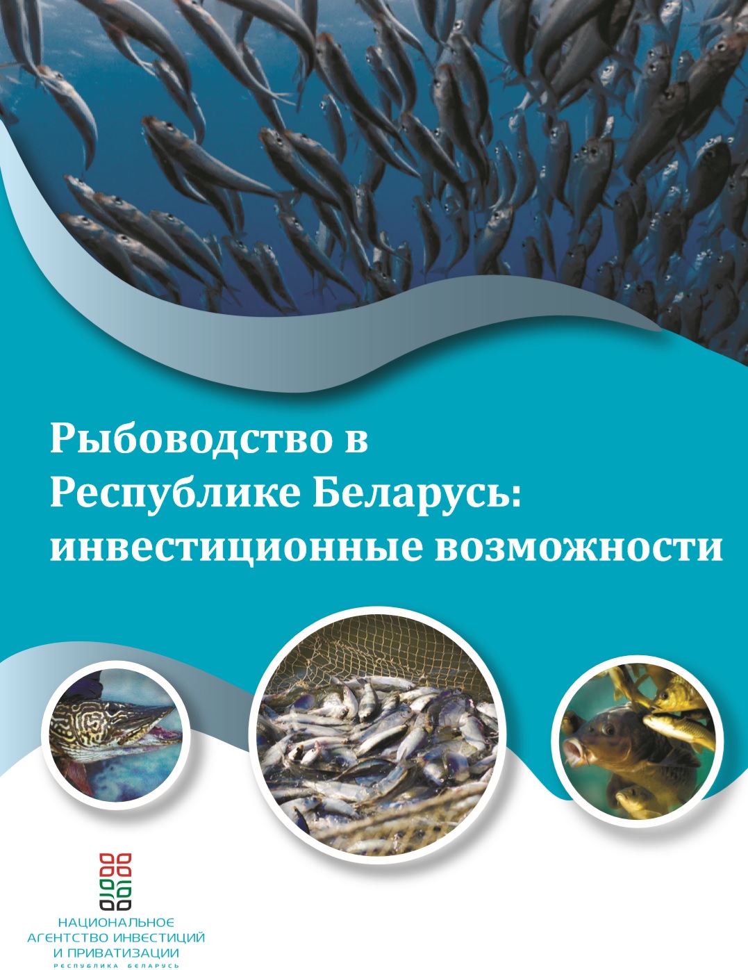 Рыбоводство в Беларуси.jpg